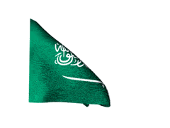 Saudi Arabia